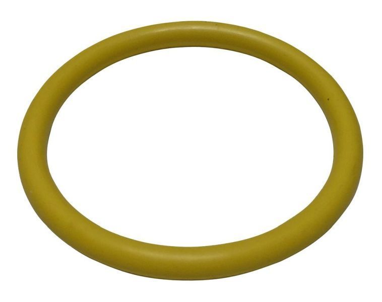 AIRMAR - Ersatz O-Ring für Airmar DST800 Borddurchlass