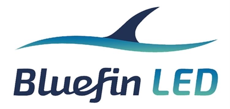 Bluefin